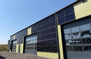 Gewerbeimmobilie kaufen in 4175 Herzogsdorf, Neuwertige Betriebsliegenschaft (BJ 2024) - 16,5% Rendite wurden im vorigen Mietvertrag erzielt