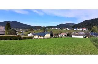 Grundstück zu kaufen in 2763 Pernitz, DEM HIMMEL SO NAH - ERHÖHTE RUHELAGE - 1092 M2