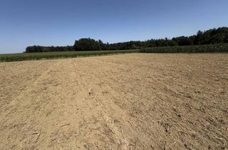 Gewerbeimmobilie kaufen in 5134 Schwand im Innkreis, landwirtschaftliche Nutzgründe
