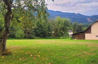 Bauernhäuser zu kaufen in 9587 Riegersdorf, Uriges Bauernhaus mit Charakter, viel Platz und Blick auf die Berge!