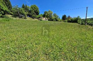 Grundstück zu kaufen in 9072 Ludmannsdorf, UNVERBAUBARER RÜCKZUGSORT MIT ATEMBERAUBENDEM PANORAMA