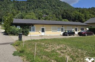 Haus kaufen in 9064 Pischeldorf, Investitionschance! Zinshaus mit 3 Wohneinheiten samt weitläufigen Grünflächen