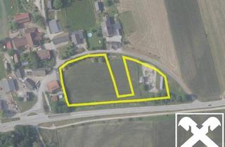 Grundstück zu kaufen in 9064 Pischeldorf, Grundstück mit Widmung "Sportanlagen" in Ochsendorf bei Pischeldorf mit viel Entwicklungspotenzial!