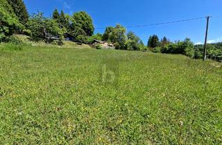 Grundstück zu kaufen in 9072 Ludmannsdorf, UNVERBAUBARER RÜCKZUGSORT MIT ATEMBERAUBENDEM PANORAMA