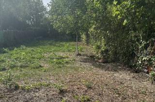 Grundstück zu kaufen in Seestraße, 2491 Neufeld an der Leitha, Ferienparzelle am Neufelder See zu mieten ? Nur wenige Gehminuten zum See