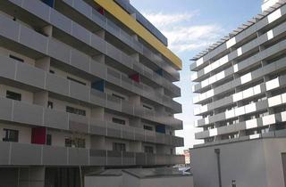 Wohnung mieten in Sandauergasse, 1210 Wien, 1210 Wien, Sandauergasse, hofseitige 2 Zimmer-Wohnung im 6. Liftstock