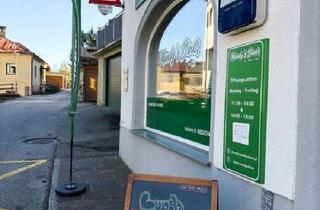 Geschäftslokal mieten in 5204 Straßwalchen, Geschäftslokal bzw. Gastro im Zentrum von Straßwalchen