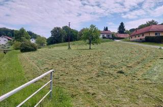 Grundstück zu kaufen in 7540 Neustift bei Güssing, BAUGRUND: 2.177 m² Bauland-Dorf in Neustift b. Güssing – ideal für Einfamilienhaus oder Doppelhaus