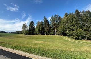 Grundstück zu kaufen in Sonnblick, 4274 Schönau im Mühlkreis, Gewerbegrundstück 2738 m² in Schönau im Mühlkreis