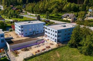 Wohnung mieten in 4564 Klaus an der Pyhrnbahn, Daheim in Klaus: Top 3.17