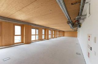 Büro zu mieten in Janis-Joplin-Promenade, 1220 Wien, Büro/Praxis/Geschäftsflächen ab 325 m2 mit Seeblick direkt an der U2 individuell gestaltbar! Ab sofort verfügbar!