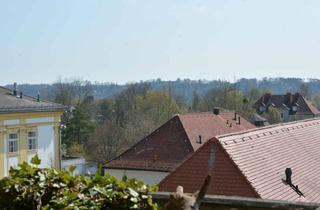Wohnung mieten in Herrengasse 5, 4600 Wels, Schöne, Große Wohnung Mitten in Wels mit Alpenblick!