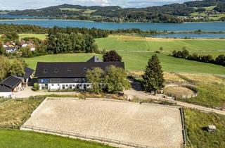 Immobilie kaufen in 5164 Seeham, Exklusive Reiterhof in Einzigartiger Alleinlage im Salzburger Seenland