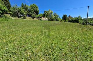 Grundstück zu kaufen in 9072 Ludmannsdorf, Unverbaubarer Rückzugsort mit Atemberaubendem Panorama