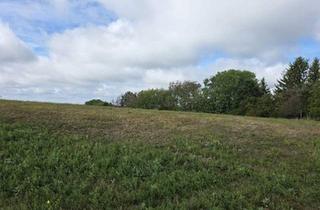 Gewerbeimmobilie kaufen in 7461 Stadtschlaining, Landwirtschaftliche Grundstücke samt Wald in Stadtschlaining