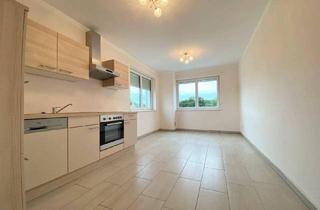 Wohnung mieten in 2493 Eggendorf, Schöne Balkonwohnung | Wohnküche + 2 separate Zimmer | Eggendorf - Sportplatzgasse