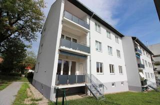 Wohnung kaufen in Reifentalgasse 3 - 5, 8043 Graz, Große Gartenwohnung in Mariatroster Bestlage! Platz für die ganze Familie!