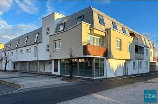 Wohnung mieten in Wattgasse WE 7, 2700 Wiener Neustadt, Single- oder Pärchenwohnung im 1. OG mit Balkon