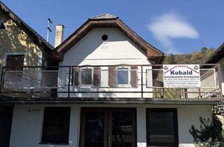 Haus kaufen in 7474 Eisenberg an der Pinka, Sanierungsbedürftiger Weinkeller/Wohnhaus mit Weingarten