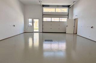 Büro zu mieten in 2500 Baden, Neubau Halle/Lager/Büro (180m2) in Baden bei Wien / Oeynhausen sofort zu vermieten!