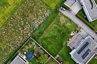 Grundstück zu kaufen in 4614 Marchtrenk, Sonniges Baugrundstück in Marchtrenk – ruhig, naturnah und perfekt für Pendler