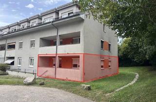 Wohnung kaufen in Professor Hans Hofmann-Ring, 4470 Enns, Großzügige 4-Zimmer-Wohnung mit Loggia, großem Kellerabteil & Stellplatz in Enns