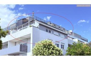 Wohnung mieten in 2700 Wiener Neustadt, 14m² MEGA-SÜD-Balkon nahe Akademiepark