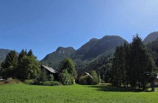 Grundstück zu kaufen in 4824 Gosau, Traumhaftes Grundstück in Gosau mit Zweitwohnsitzwidmung, 729 m² – Ihr Naturparadies um 229.000 €!