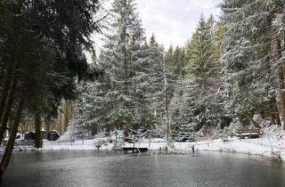 Grundstück zu kaufen in 4264 Grünbach, Naturverbundenes Waldgrundstück mit Wasserflächen und Bestandshütte