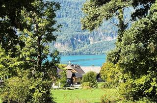 Grundstück zu kaufen in 5360 Aschau, Exklusives Grundstück über dem Wolfgangsee – Ruhe, Weitblick & Natur pur