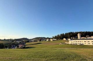 Grundstück zu kaufen in 4150 Rohrbach, Attraktive Grundstücke mit Potential in Zentrumsnähe!
