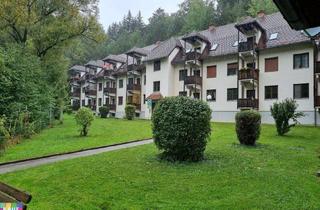 Wohnung mieten in Rein 2C, 8103 Rein, 1 Zimmerwohnung in ruhiger, "grüner" Lage neben dem Stift Rein