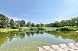 Grundstück zu kaufen in 2424 Zurndorf, OPTIMALES BAUGRUNDSTÜCK | ca. 9.000 m² | BADETEICH | FRIEDRICHSHOF