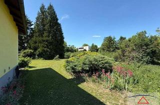 Einfamilienhaus kaufen in 3730 Burgschleinitz, Einfamilienhaus Nähe Eggenburg!