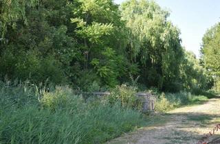 Grundstück zu kaufen in 2433 Margarethen am Moos, Margarethen am Moos - Großes Grundstück - Nahe Wien!