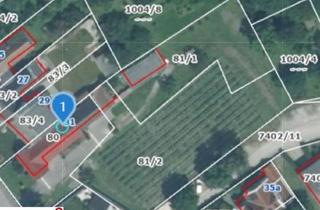 Einfamilienhaus kaufen in 7083 Purbach am Neusiedler See, Teilsaniertes Haus mit 1000M² oder 1500M² Grund