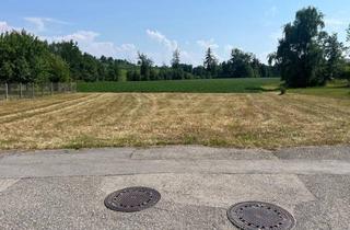 Grundstück zu kaufen in 4055 Pucking, Großzügiges Baugrundstück in Attraktiver Lage!