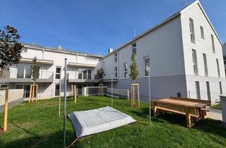 Wohnung mieten in Johann-Groh-Straße 62/2, 5204 Straßwalchen, Moderne 2-Zimmer-Mietwohnung in Straßwalchen!