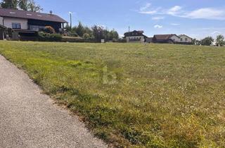 Grundstück zu kaufen in 4785 Freinberg, Ruhiges Wohnen in Toplage