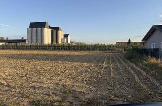 Grundstück zu kaufen in 3441 Pixendorf, Grundstücksteilfläche für ein Eigenheim in Judenau – ca. 800, 900 oder 1.000 m²