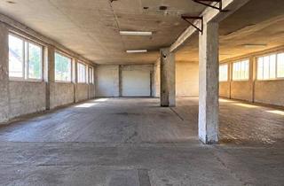 Gewerbeimmobilie mieten in 4331 Naarn, BESCHREIBUNG LESEN Großzügige Gewerbe-/Lagerhalle in Naarn – ca. 310 m² | flexibel teilbar