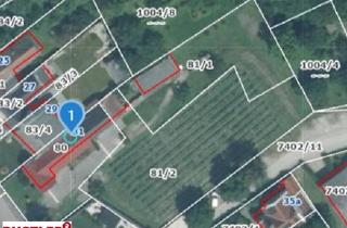 Einfamilienhaus kaufen in 7083 Purbach am Neusiedler See, Teilsaniertes Haus mit 1000m² oder 1500m² Grund