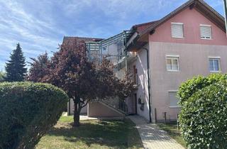 Wohnung kaufen in Wiesenauergasse, 8053 Graz, ++ TOLLE KLEINE GARTENWOHNUNG im GRÜNEN WETZELSDORF++Nutzfläche ca. 36 m², GARTENANTEIL ca. 40 m², PARKPKLATZ++