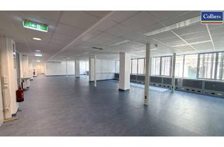 Büro zu mieten in Schwarzenbergplatz, 1030 Wien, Klimatisierte Labor-/Bürofläche am Schwarzenbergplatz