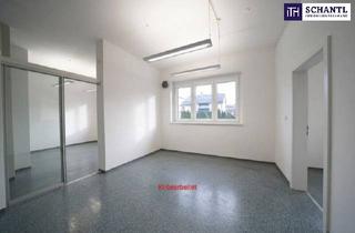 Loft kaufen in 8501 Lieboch, Außergewöhnliches Wohnkonzept in guter Lage - Wohnfläche mit 112m² - 4 Stellplätze - in 8501 Lieboch