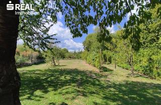 Grundstück zu kaufen in 2540 Bad Vöslau, Außergewöhnliches Naturparadies in Bad Vöslau
