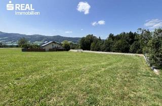 Grundstück zu kaufen in 4893 Zell am Moos, 1.907 m² warten auf Ihre Pläne