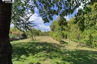 Grundstück zu kaufen in 2540 Gainfarn, Außergewöhnliches Naturparadies in Bad Vöslau