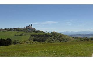 Grundstück zu kaufen in 3672 Untererla, Großes Grundstück mit herrlicher Aussicht auf Maria Taferl und ins Alpenvorland! Hobbylandwirtschaft möglich!