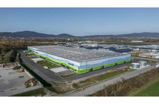 Büro zu mieten in 2542 Kottingbrunn, Neue Lagerhallen in 2542 Kottingbrunn zu mieten